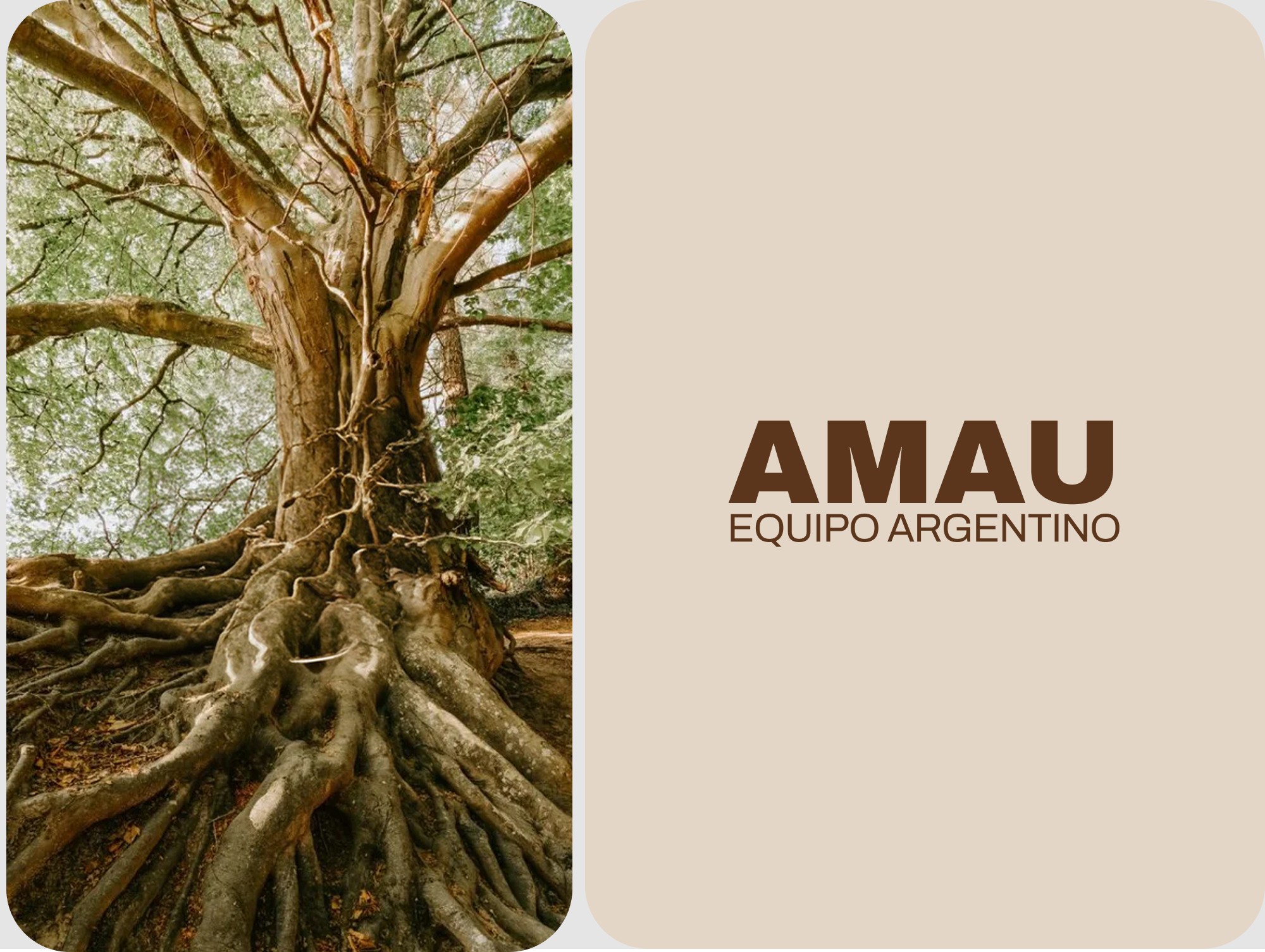 AMAU original logo presentation